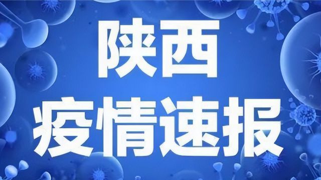 最新疫情動態(tài)全面解析報告