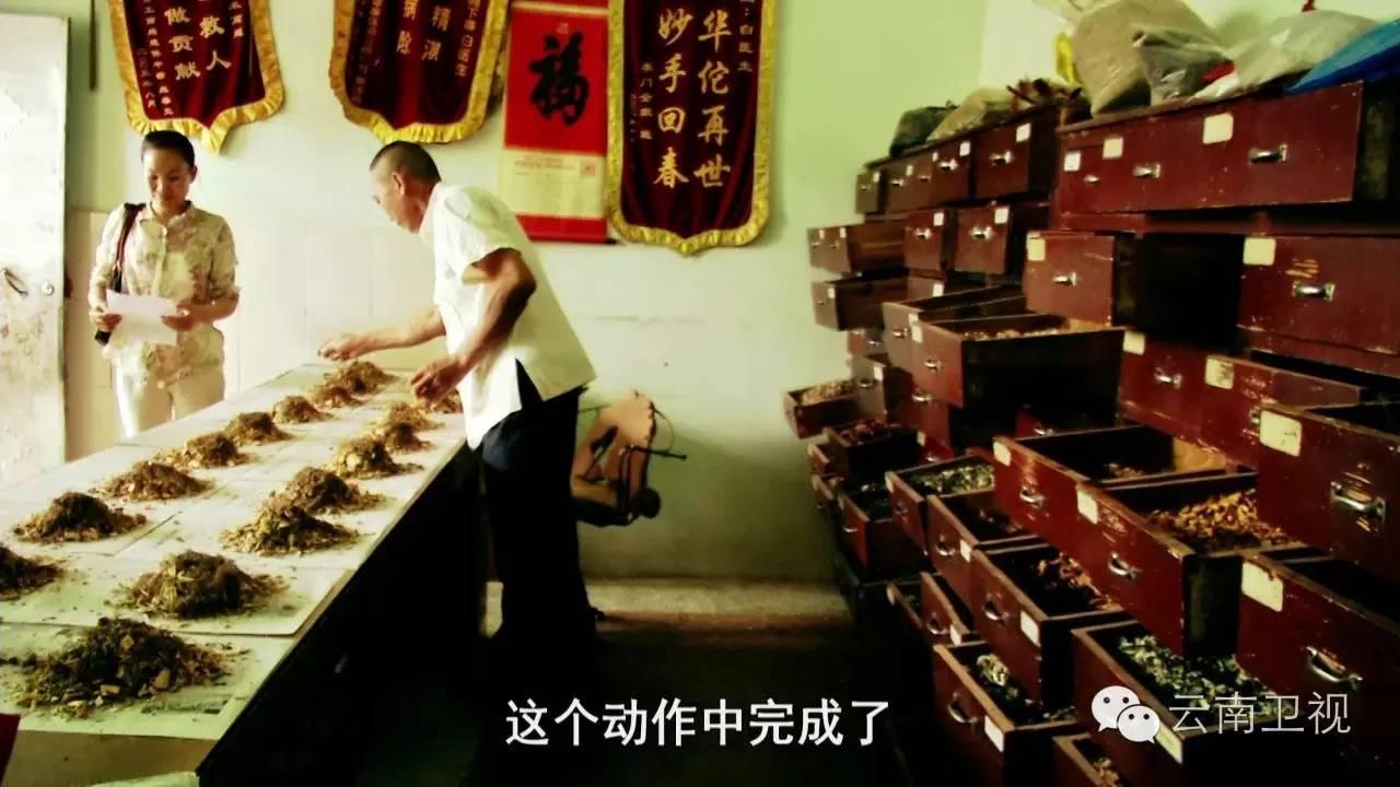 版納最新統(tǒng)計(jì)數(shù)據(jù)揭示，新時(shí)代下的繁榮與發(fā)展并存景象