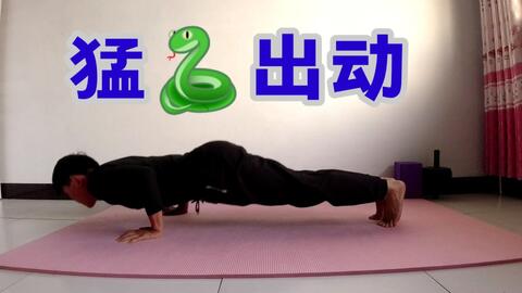養(yǎng)生之道，探索最新養(yǎng)生搖的魅力和秘密